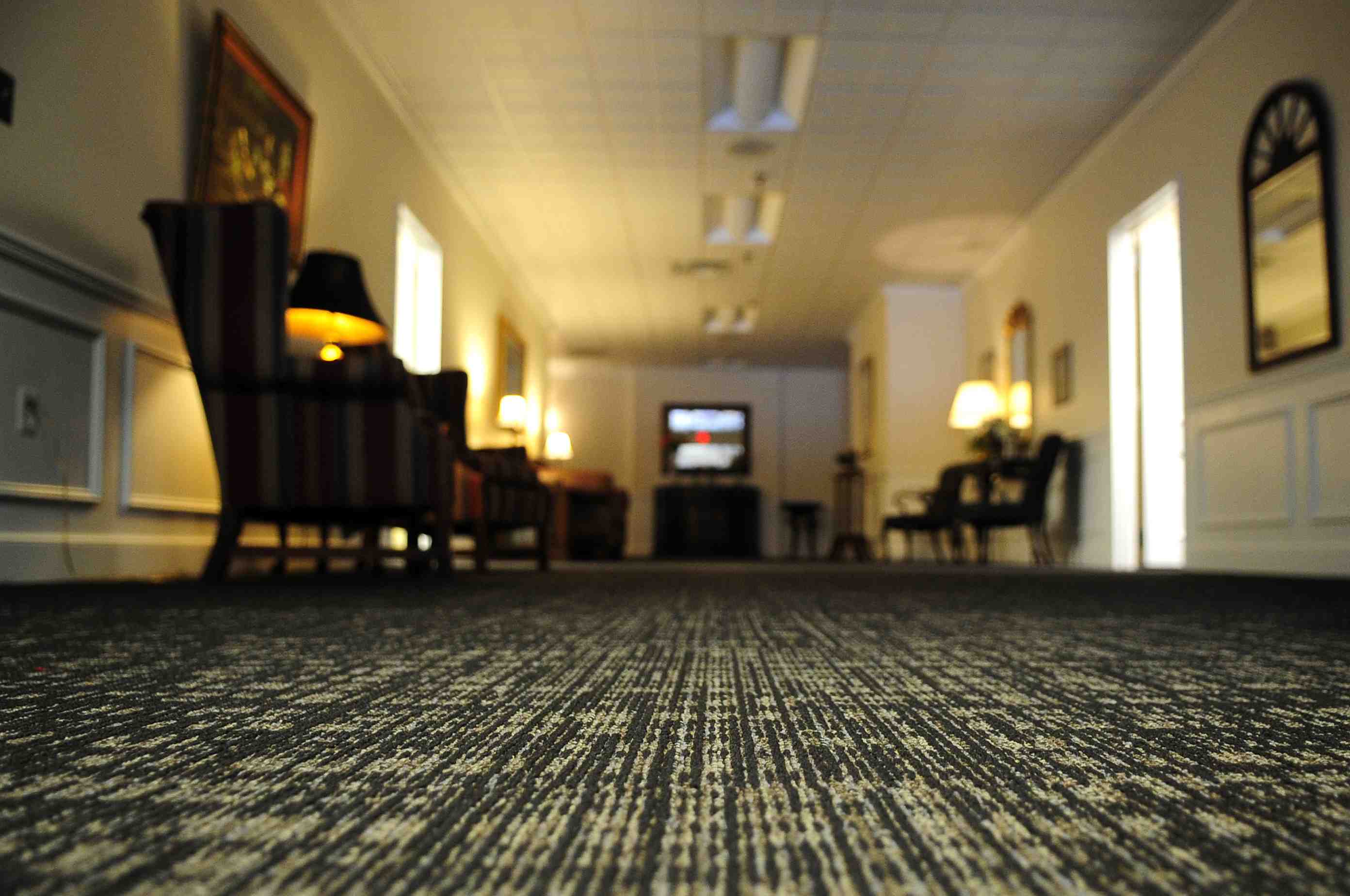 commercial janitorial services - Steam Extraction Carpet Cleaning Service